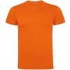 Camiseta Entrenamiento Roly Dogo Premium CA6502-31