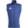 Chaqueta Chndal adidas Tiro 24 Competition Winterized Vest IY0119