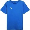 Camiseta Puma TeamRise 706132-02