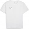 Camiseta Puma TeamRise Matchday 706132-04