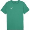 Camiseta Puma TeamRise 706132-05