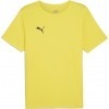 Camiseta Puma TeamRise Matchday 706132-07