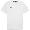 Camiseta Entrenamiento Puma TeamGoal Casual 658615-04