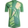 Camisa de Portero adidas Tiro 24 GK IS5349