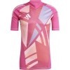 Camisa de Portero adidas Tiro 24 GK IS5339