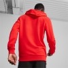 Sudadera Puma TeamGoal