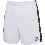 Calzona de latiendadelclub HUMMEL Hml Authentic Poly Shorts 219970-9001