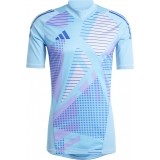 Camisa de Portero de latiendadelclub ADIDAS Tiro 24 GK IN0428