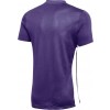 Camiseta Nike Park Derby IV