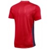 Camiseta Nike Park Derby IV